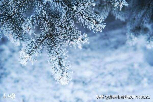 咏雪的名句100句，带你领略最美冬天！