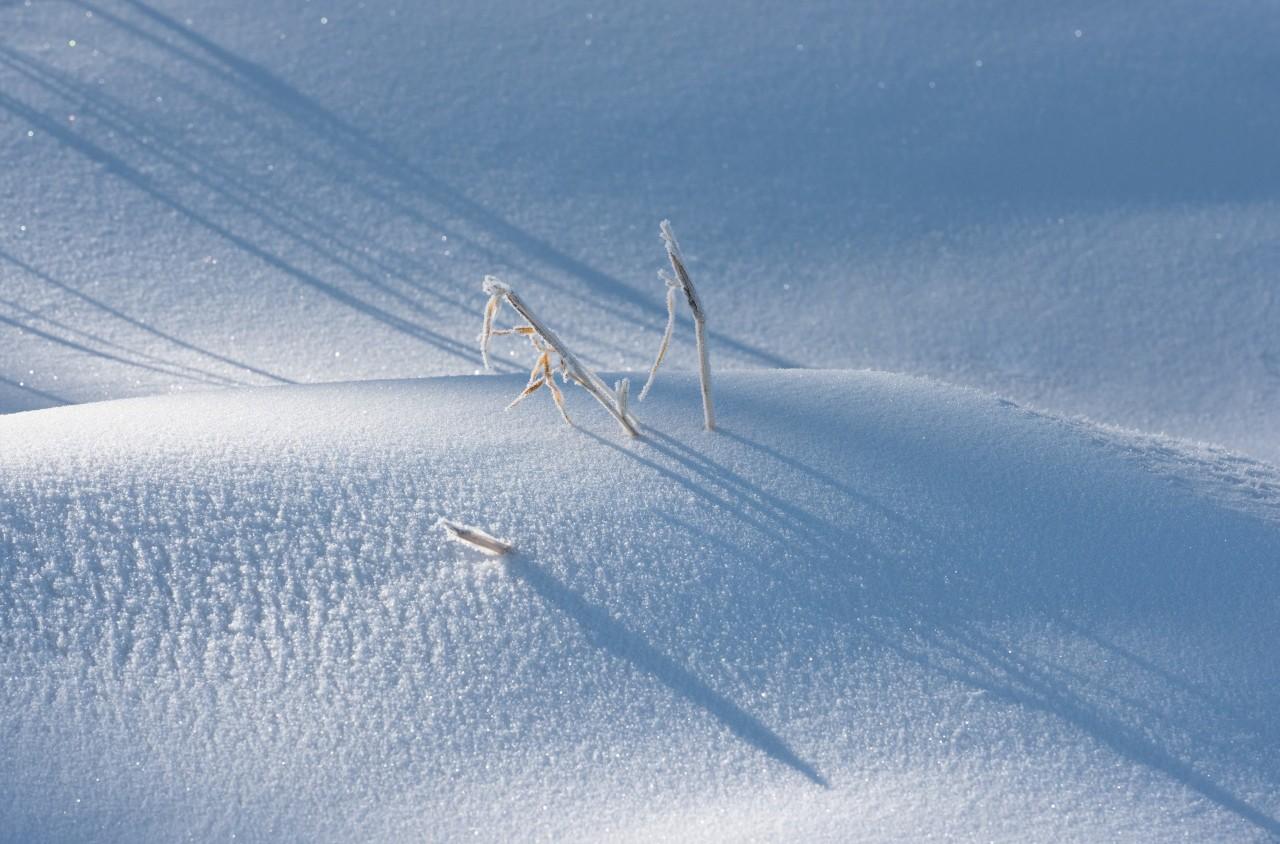 关于咏雪的诗句16首，冬如画，雪如诗