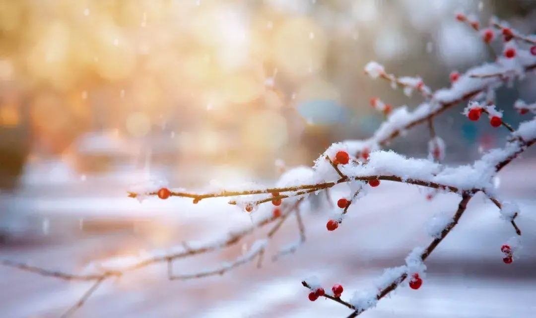 咏雪名句8首，唯美了整个冬天