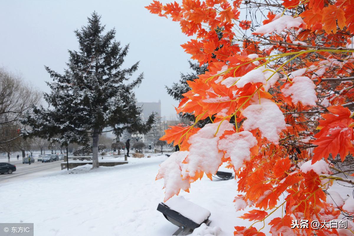 雪景诗句10首，带你感受冬日的雪