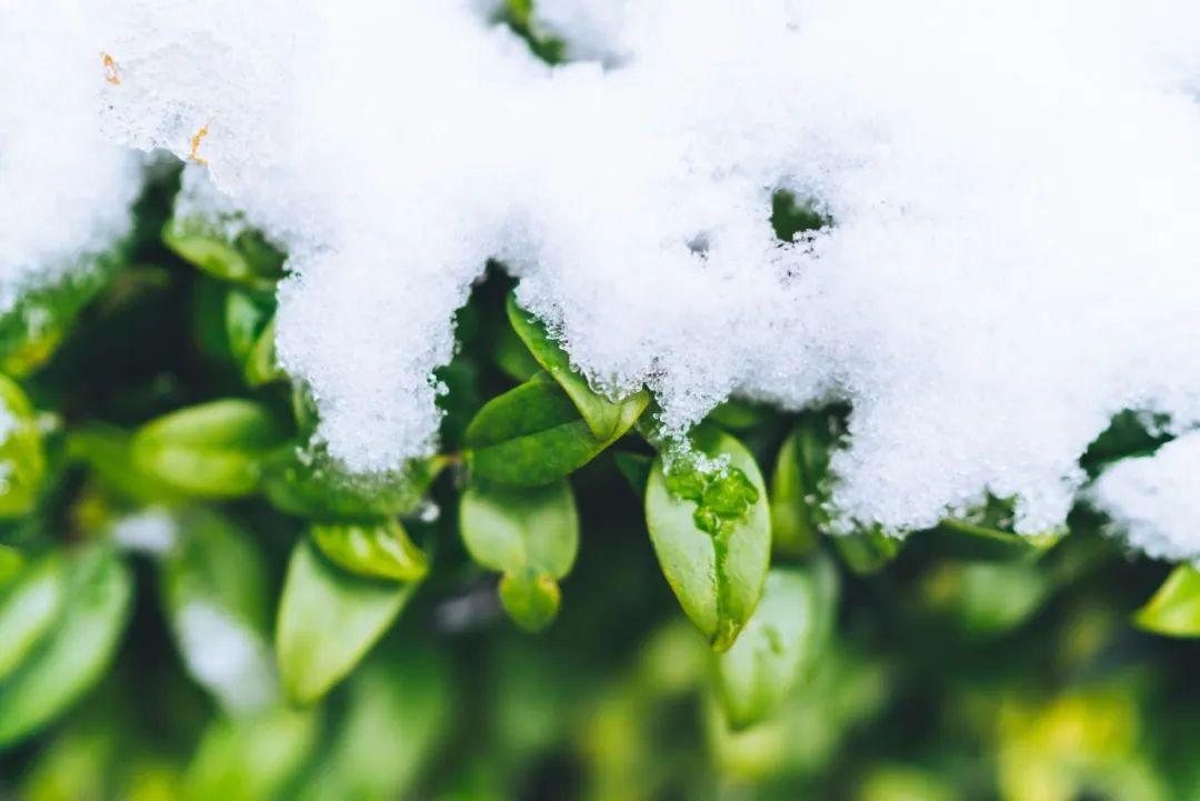 描写冬雪的诗句36首，带你感受冬日的雪