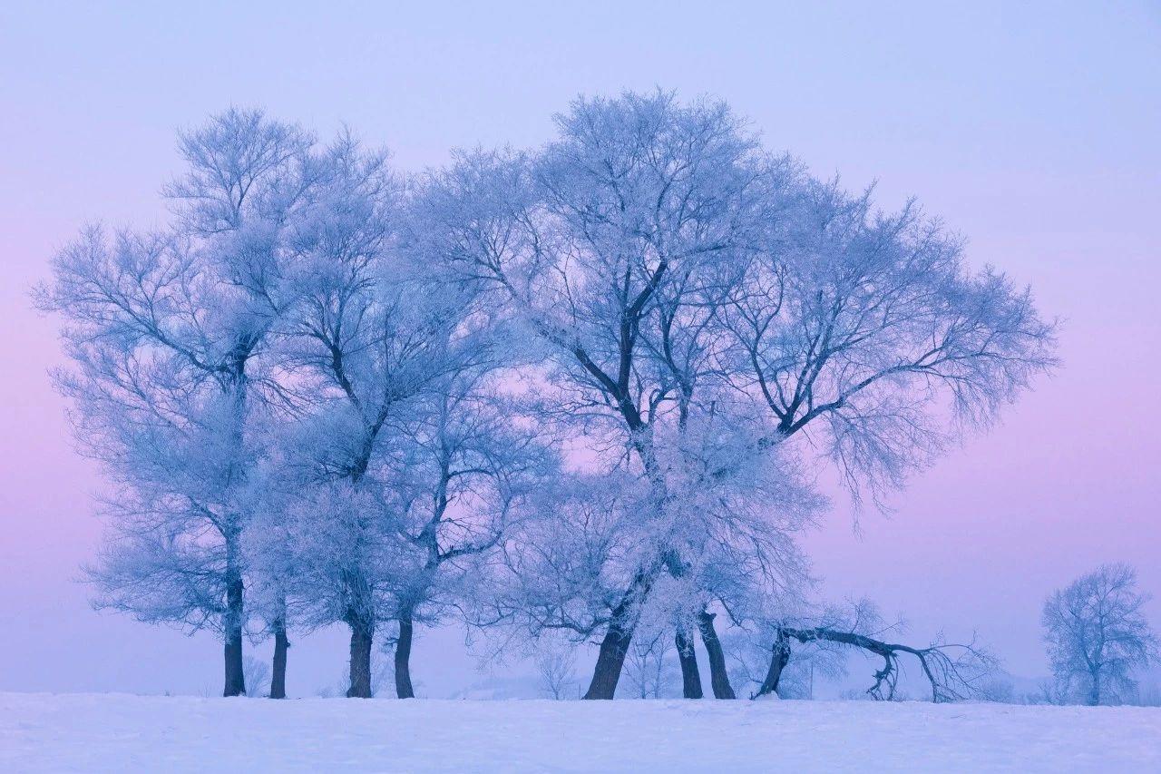 有关冬天的古诗20首，写尽冬日之美!