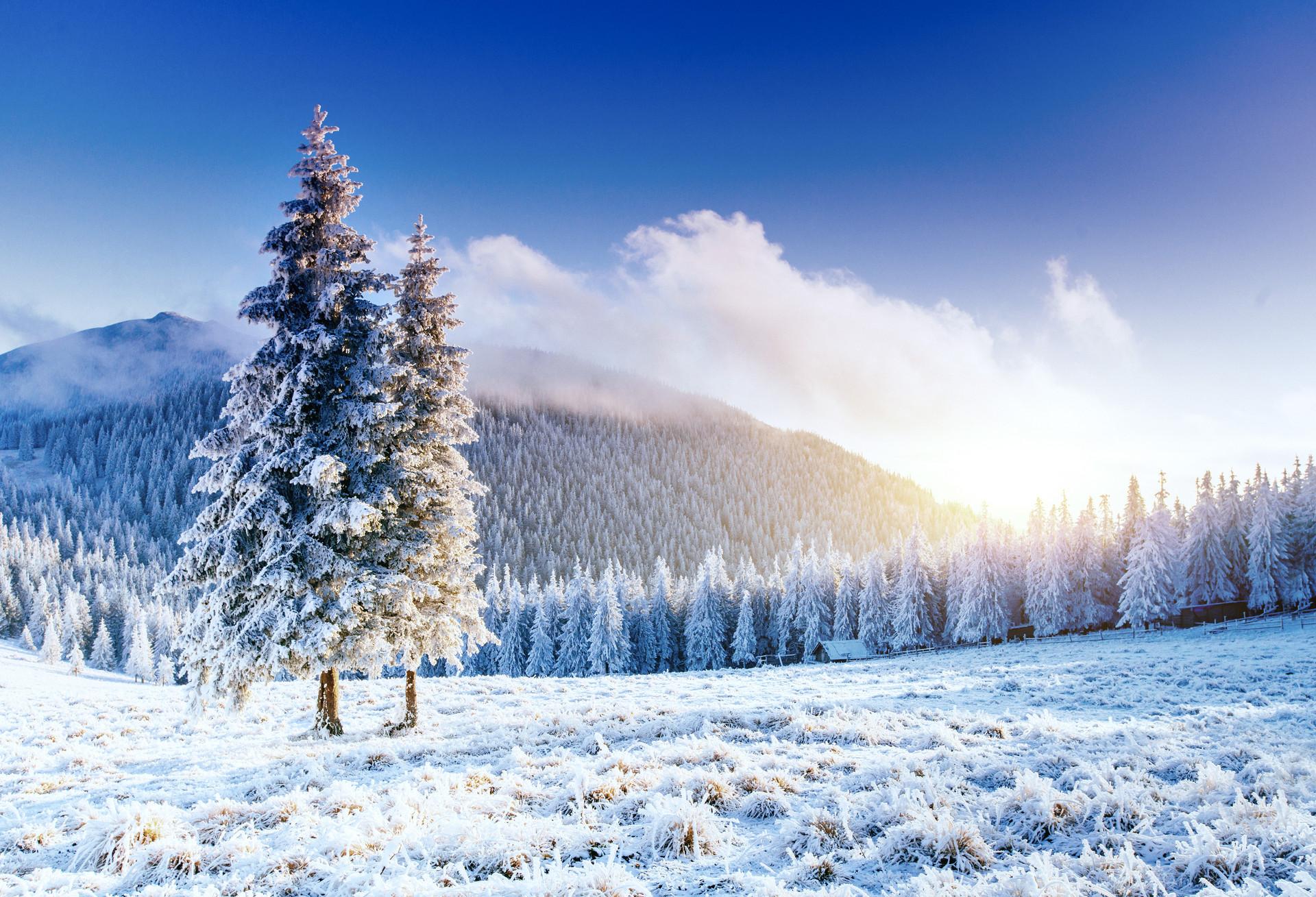 描写冬天的诗句20首，带你感受绝美冬日