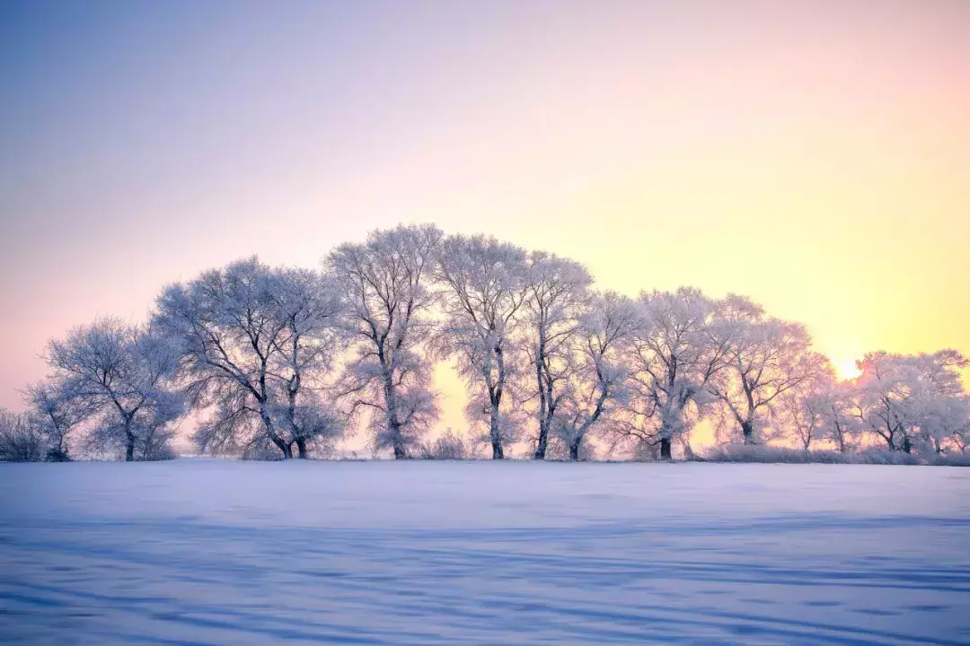 关于雪的古诗10首，最美的雪在诗词里