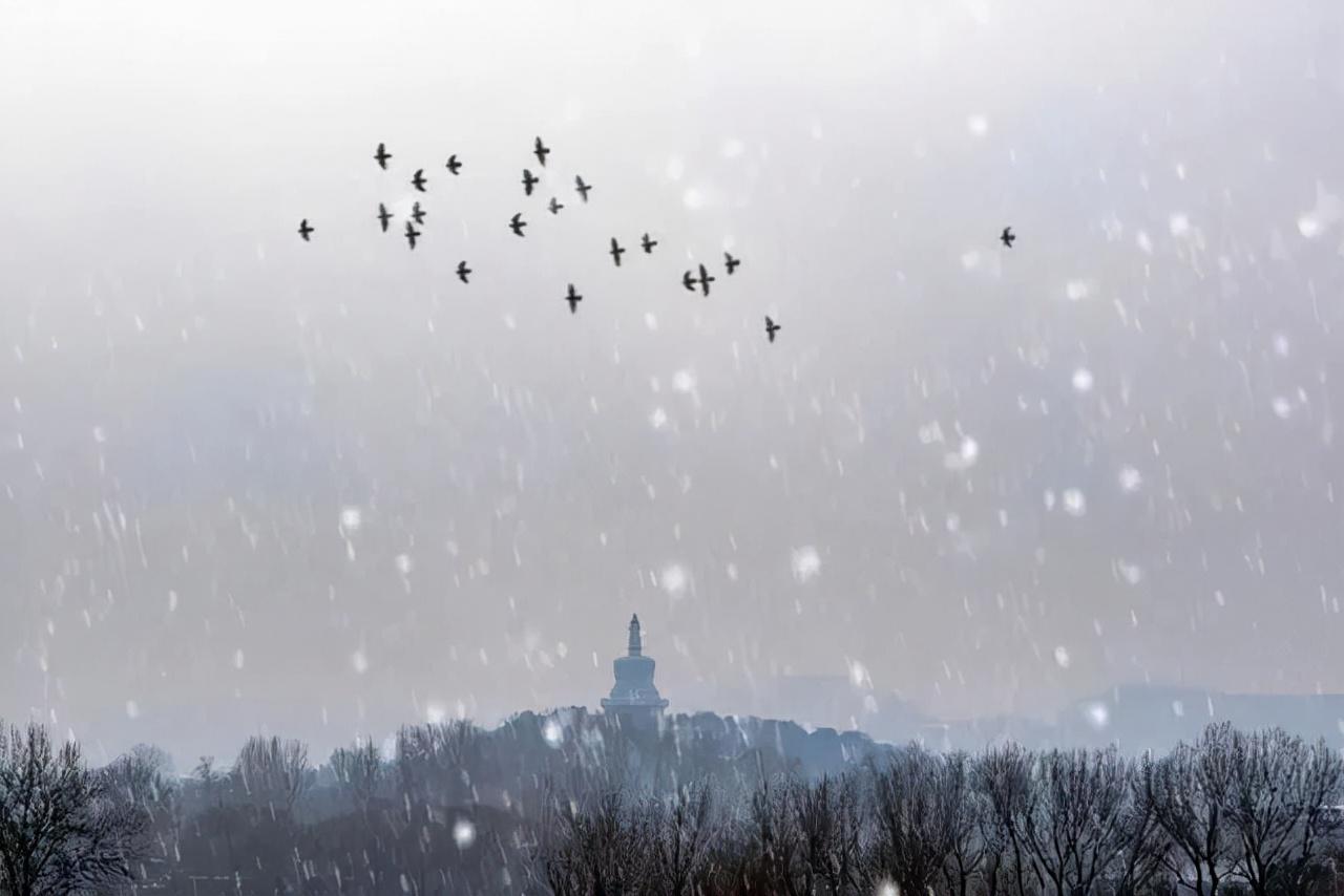 描写雪景的诗句10首，浪漫了整个冬天