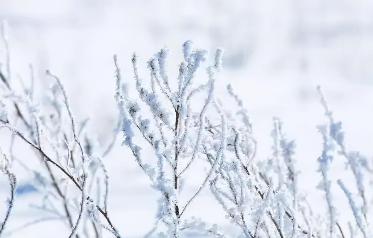 描写雪景的诗句10首，浪漫了整个冬天