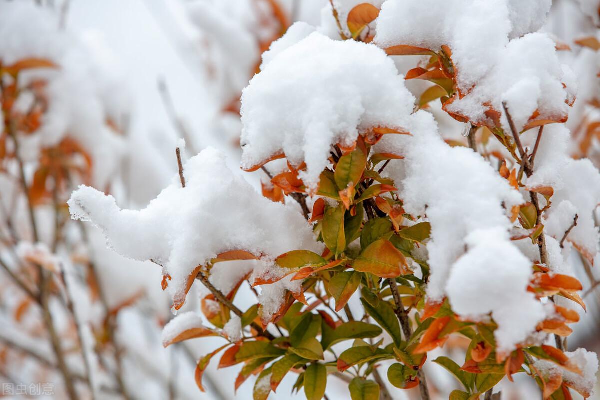 描写雪景的唯美句子25句，与您尽赏冬雪之美