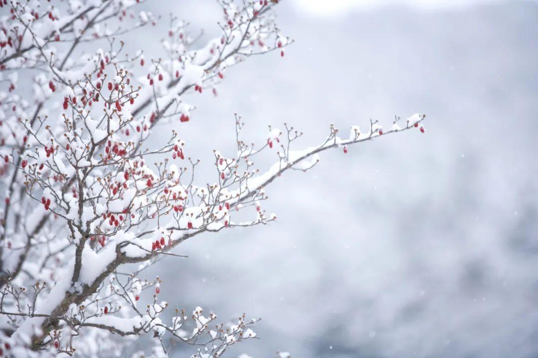 雪的诗句10首，唯美了整个冬天