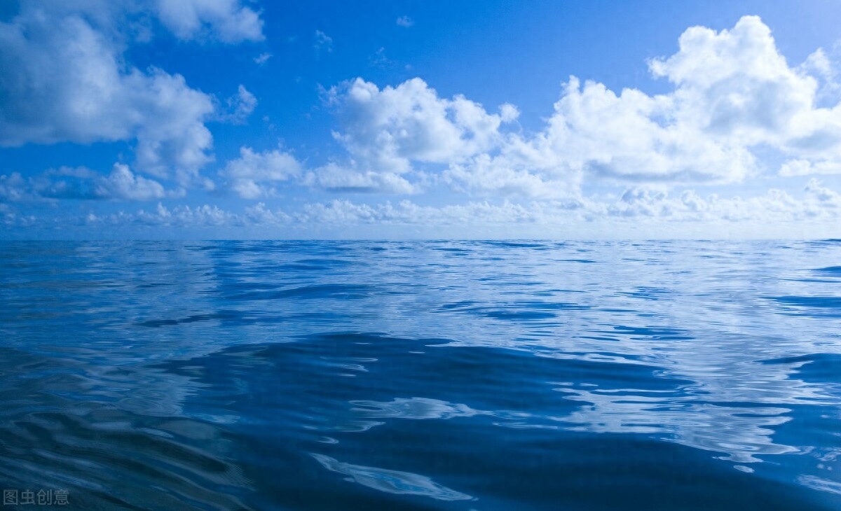 写大海的作文300字小学习作《大海无垠》