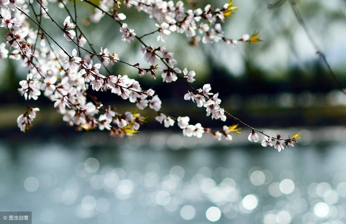 桃花的诗句50句，惊艳了整个春天!
