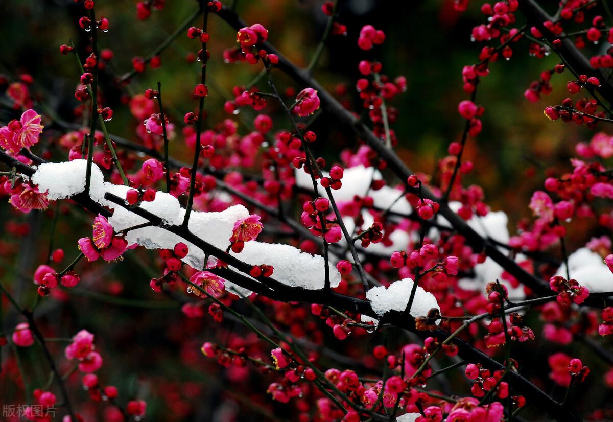形容美丽雪景的诗句25句，带你领略最美冬天!
