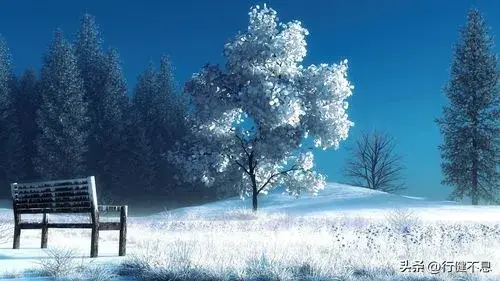 描写雪的古诗32首，邂逅最美的冬天