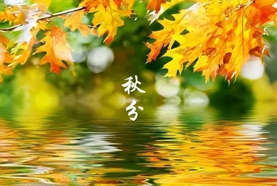 关于秋分的古诗20首，在诗词中，窥见秋之静美