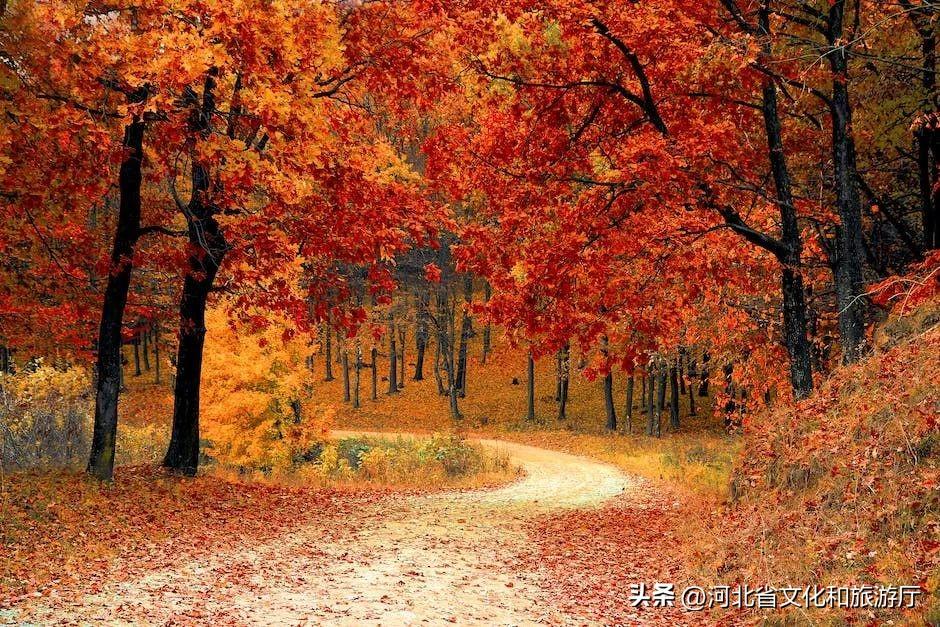 关于秋天的诗歌30首，感受古人笔下的斑斓秋色