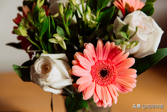 道歉送什么花，哪几种鲜花，能够表达歉意