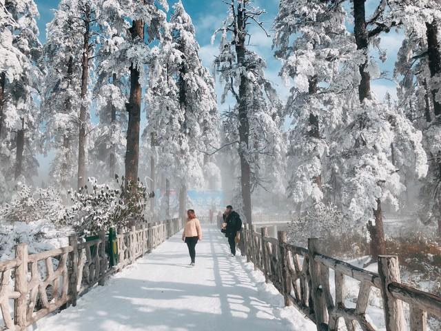 张岱湖心亭看雪（写出了最传神的雪景）