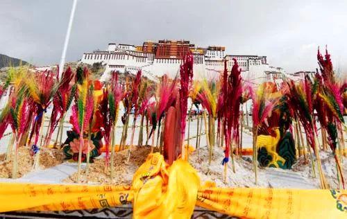 藏族的节日，藏族最重要8个节日