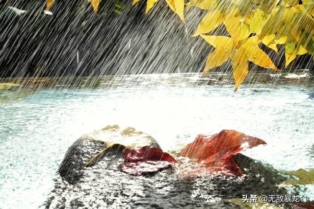 秋雨的句子简短唯美30句，清秋有梦，雨落成诗