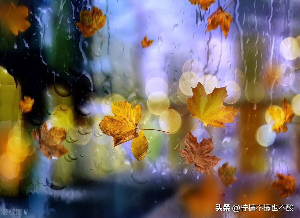 秋雨发朋友圈的句子10句，秋雨，是大自然的馈赠