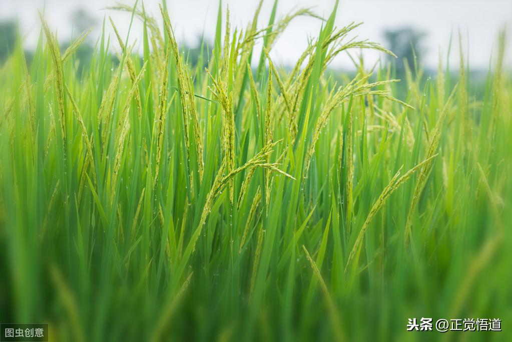 感人肺腑的话26句，句句深入人心