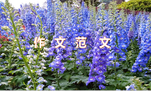 写雨的作文汇总5篇(中考习作)