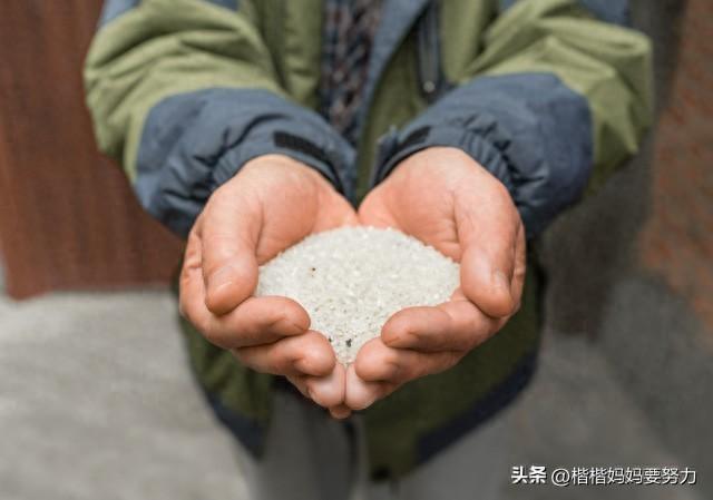 爱是作文汇总3篇小学习作(爱,是无声的陪伴)-小学作文-电子课本网 爱是作文汇总3篇小学习作(爱,是无声的陪伴)-小学作文