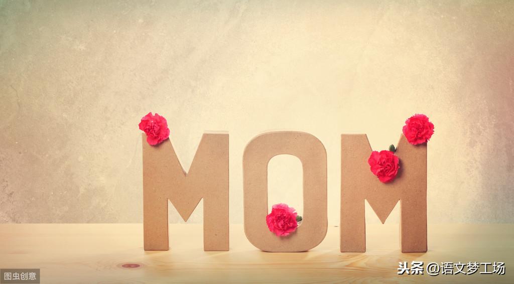 以理解为话题的作文800字中考满分（我在理解中成长）