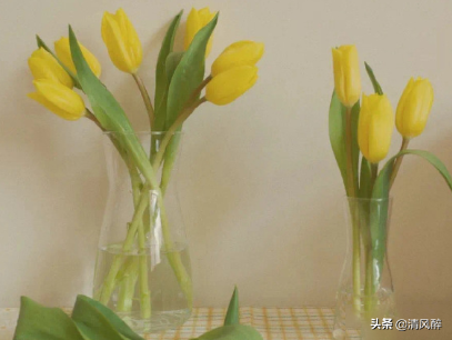 诗情画意的句子15句，能带给人美的享受