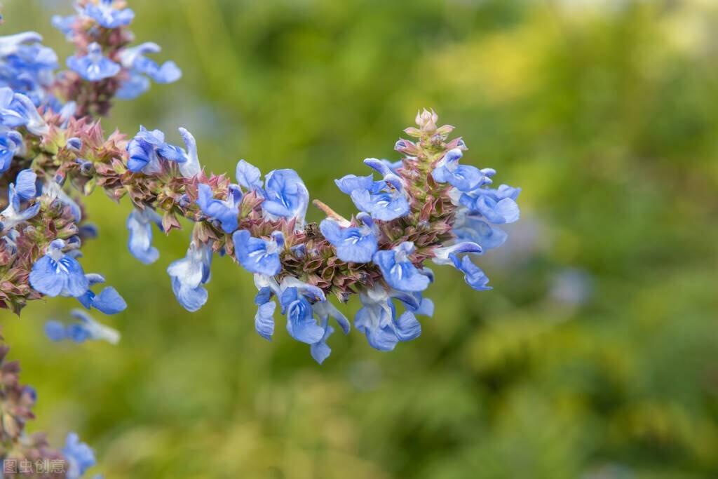 凄凉的句子25句，伤感入体，痛彻心扉