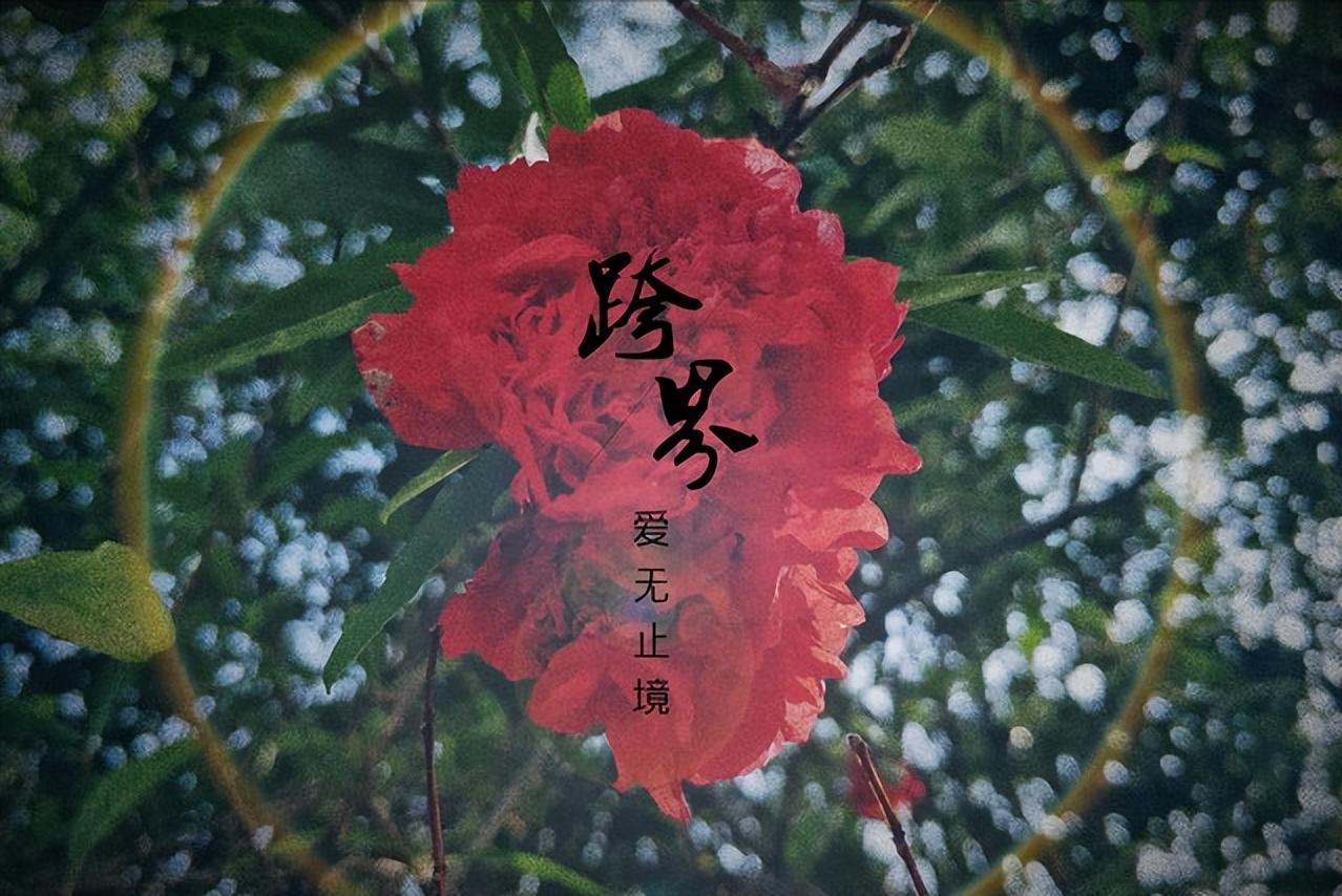 关于七夕节的经典诗词30句，祝有情人终成眷属 - 图强作文网