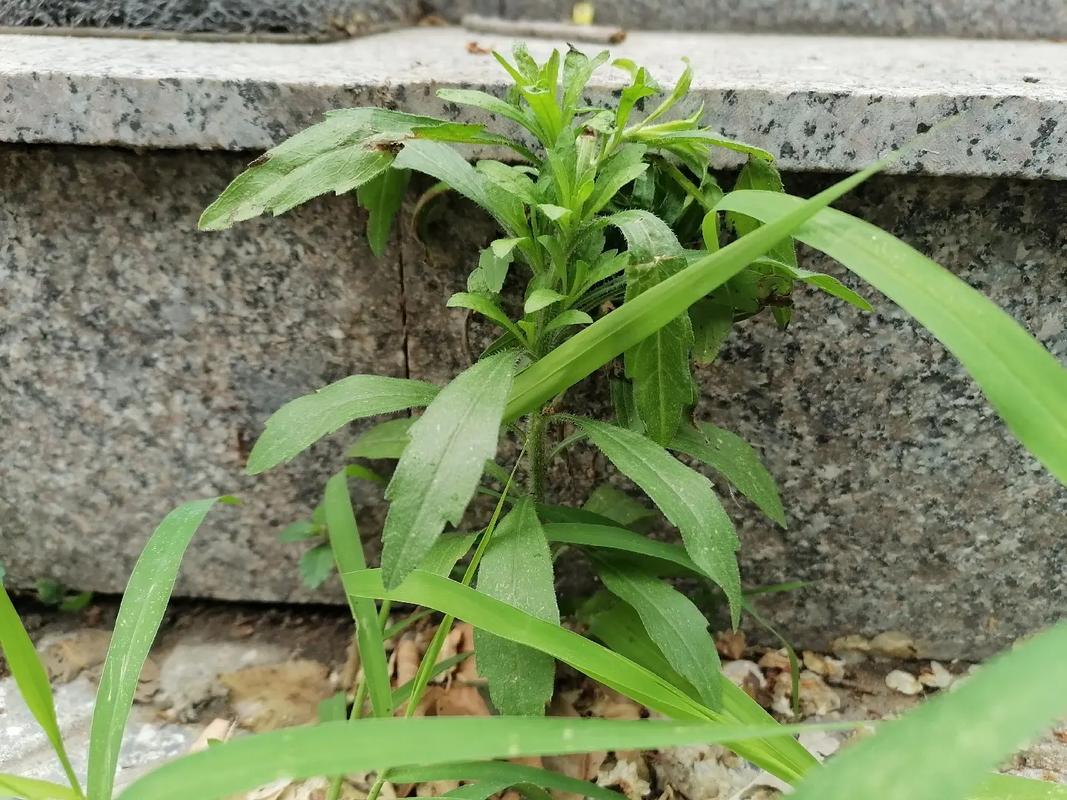 缓解压力的励志句子13句，活出你的最佳状态