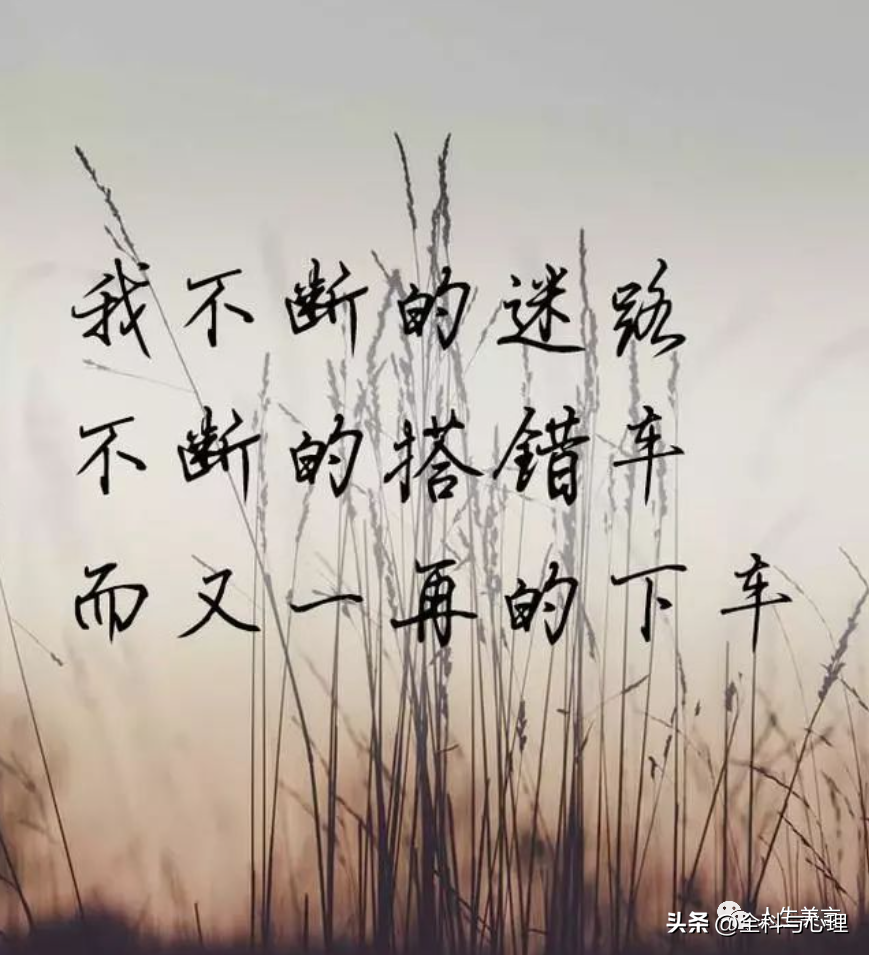 表达舍不得离别的句子20句,牵挂不舍,情难释怀 - 图强作文网