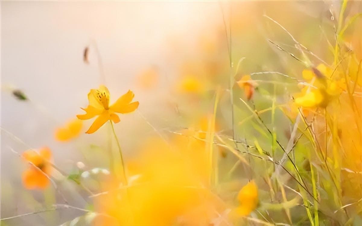 表达亲情相聚的句子24句，很走心，很温馨!