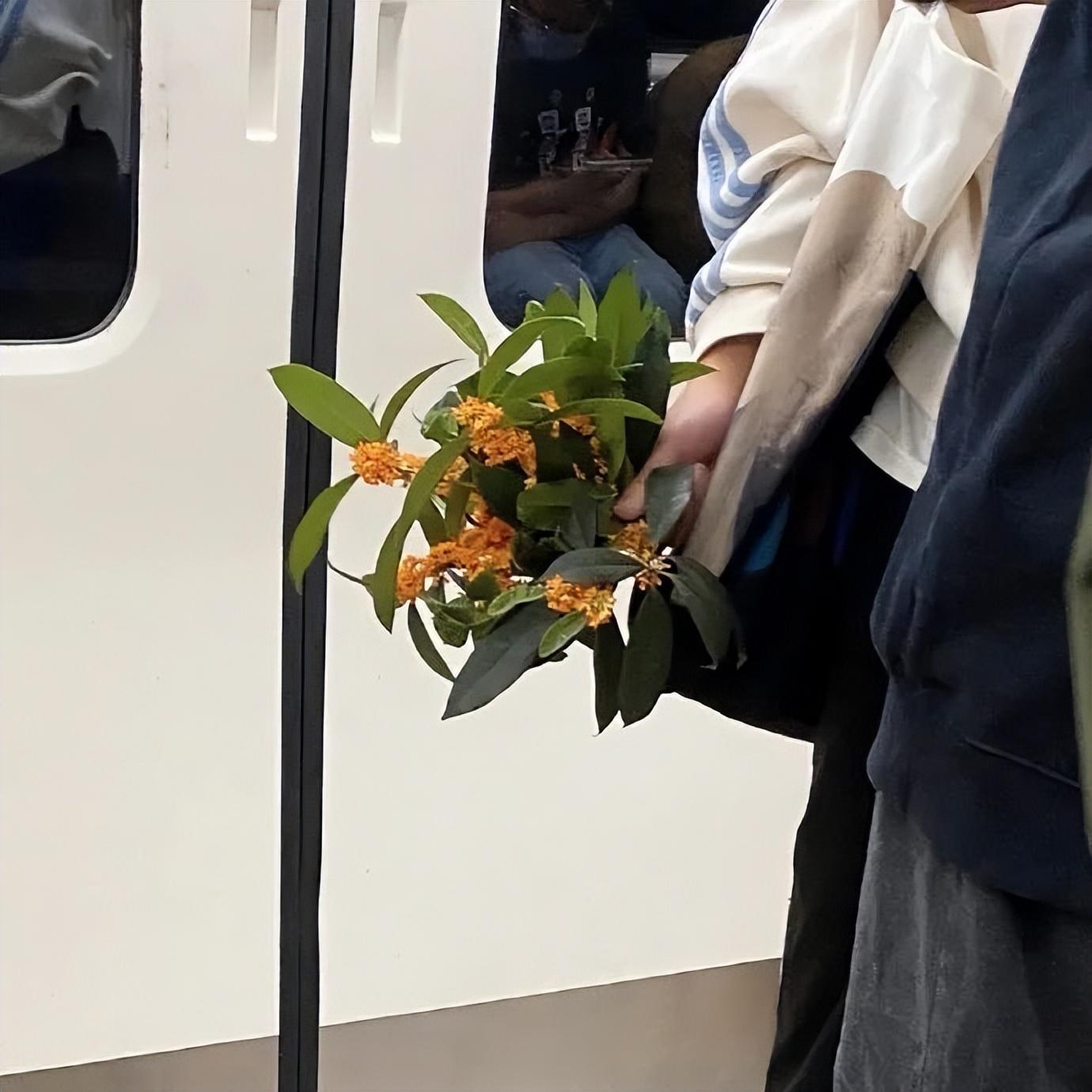 浪漫而不烂俗的高级文案20句，触动心灵的瞬间感悟