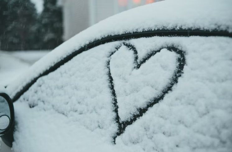 下雪感悟的句子20句，愿生活简单如雪