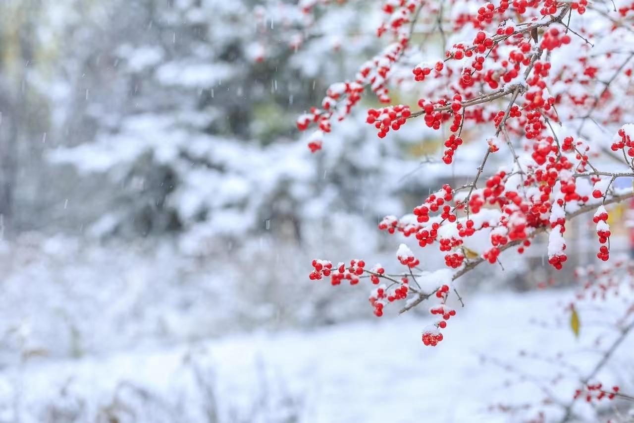 冬至祝福语8句，愿君冬至节气安康