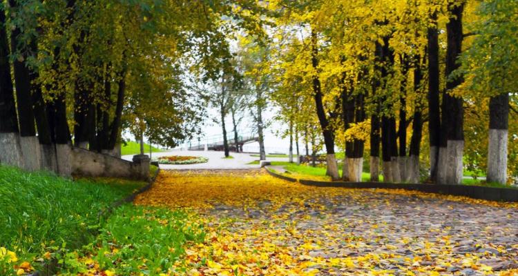 描写秋天的句子15句，带你走进五彩斑斓的季节!