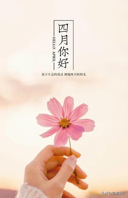 四月的文案10句，用温暖迎接整个春天