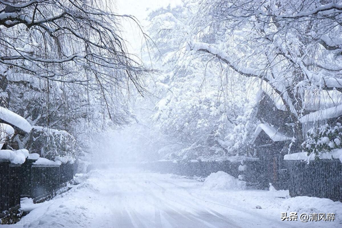 雪景迷人的句子16句，总有一句能入心