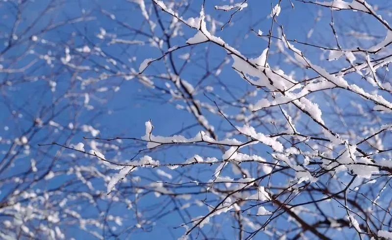 简短的初雪句子20句，唯美而温柔