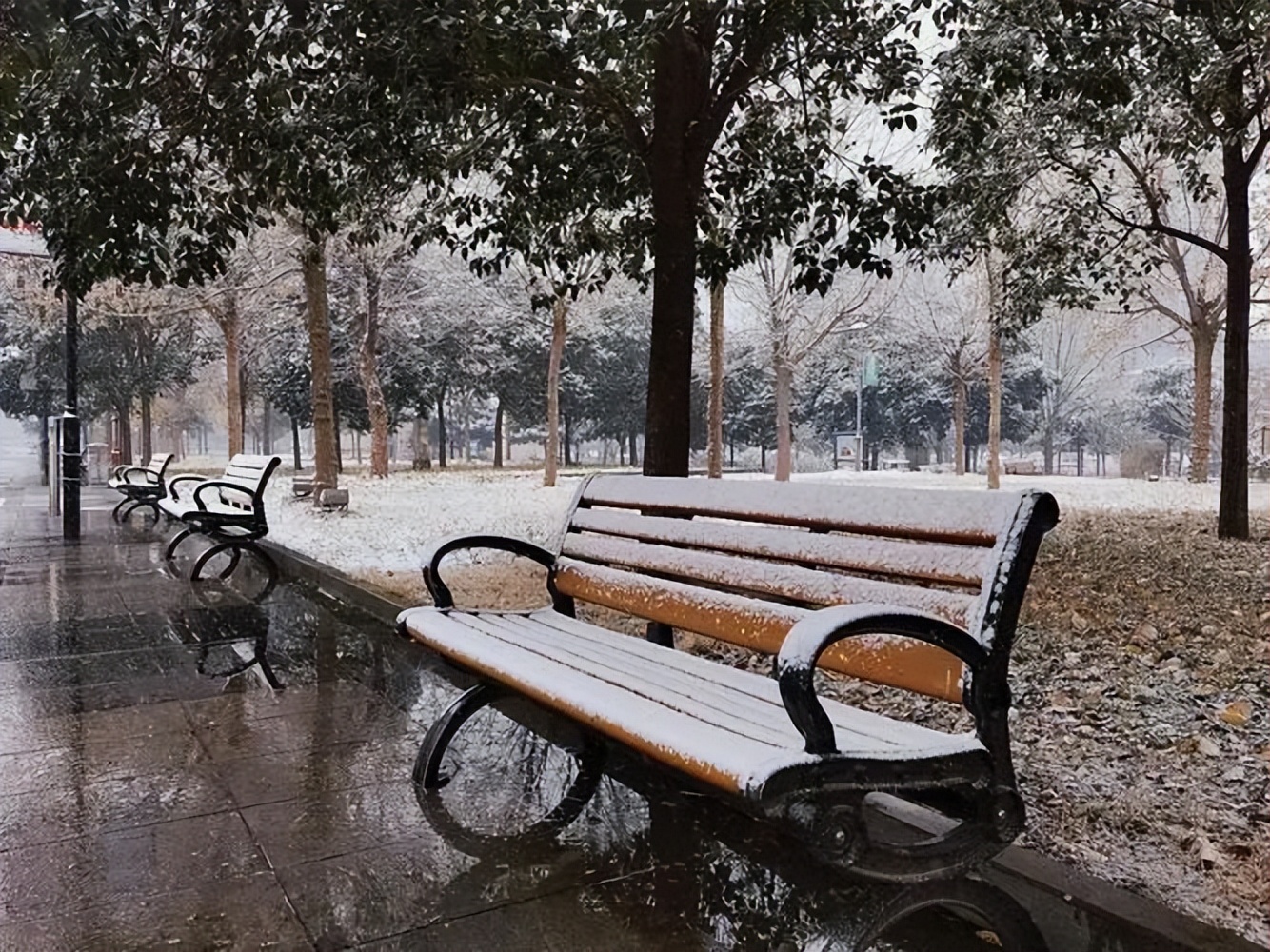 简短的初雪句子20句，唯美而温柔