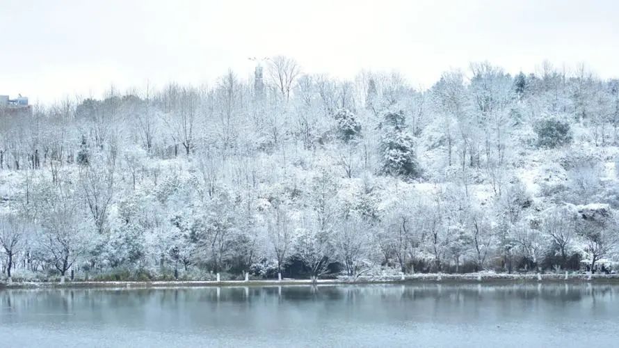 简短的初雪句子20句，唯美而温柔