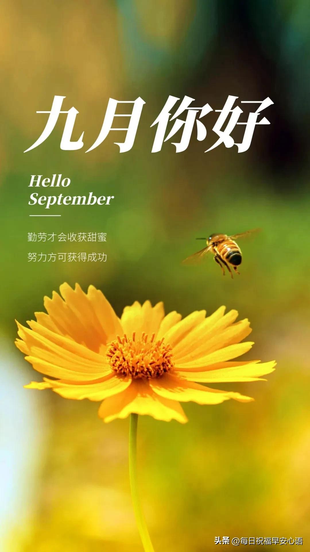 九月美好寄语10句，充满希望和喜悦!
