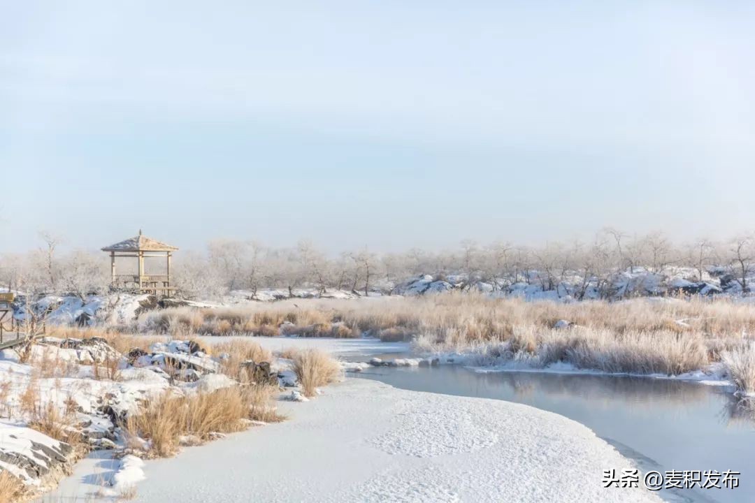 关于朋友的诗句8首，说尽了世间最美的友情