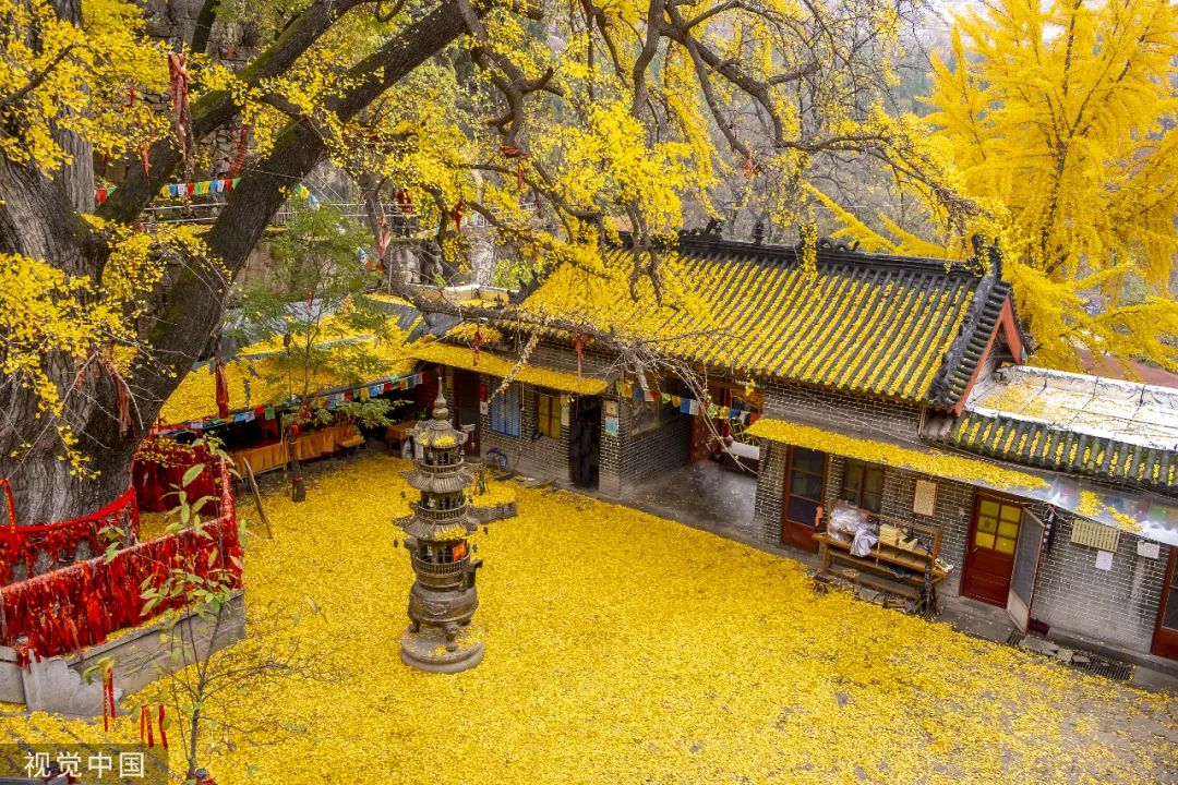 关于秋雨的诗句47句，滴雨成画，美到心醉