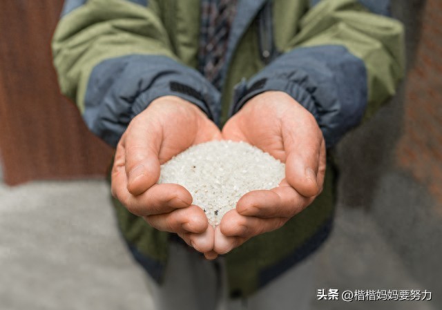 爱是作文小学习作汇总3篇(爱,是无声的陪伴)-小学作文-电子课本网 爱是作文小学习作汇总3篇(爱,是无声的陪伴)-小学作文