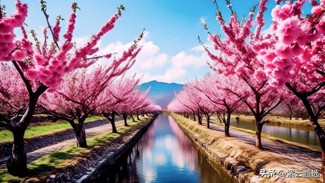 赞美老师的名句7句，敬师德，念师恩