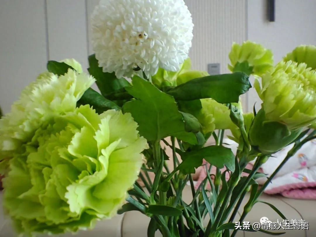 高情商发朋友圈的句子20句，总有一句与你心有灵犀!