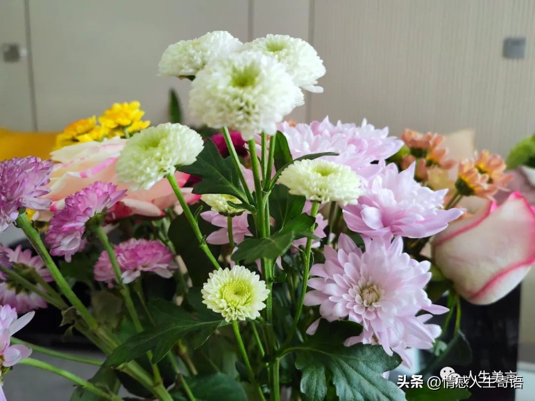 高情商发朋友圈的句子20句，总有一句与你心有灵犀!