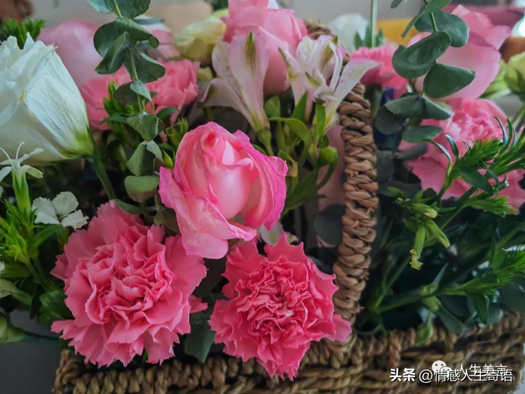 高情商发朋友圈的句子20句，总有一句与你心有灵犀!